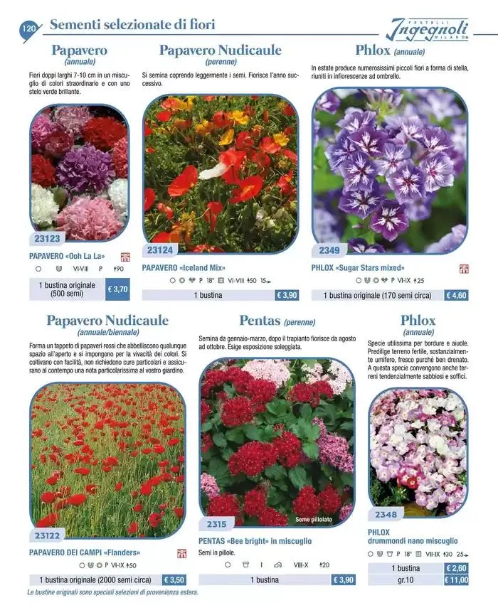 Catalogo guida 2025 da 20 gennaio a 31 dicembre di 2025 - Pagina del volantino 122