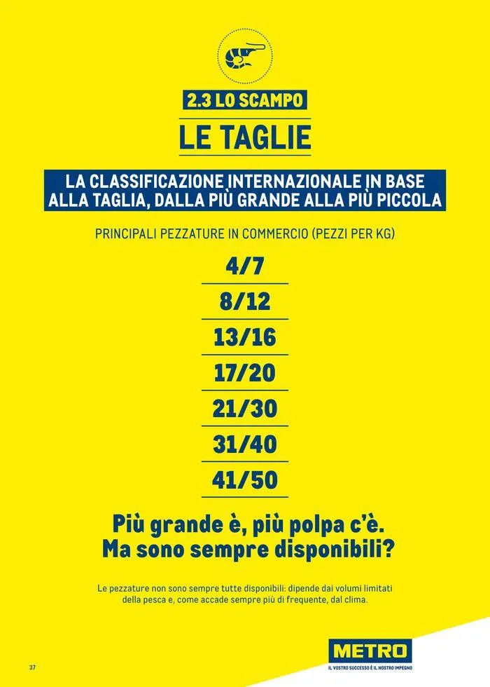 Catalogo Surgelati 2024 da 21 maggio a 31 maggio di 2025 - Pagina del volantino 37