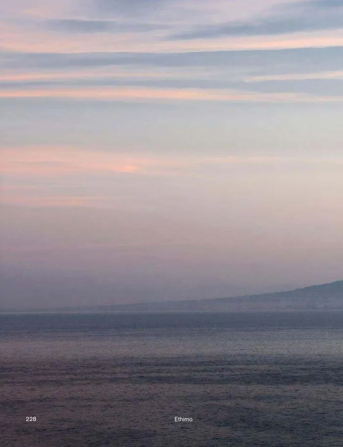 Outdoor decor collections 2024 da 1 febbraio a 30 giugno di 2024 - Pagina del volantino 230