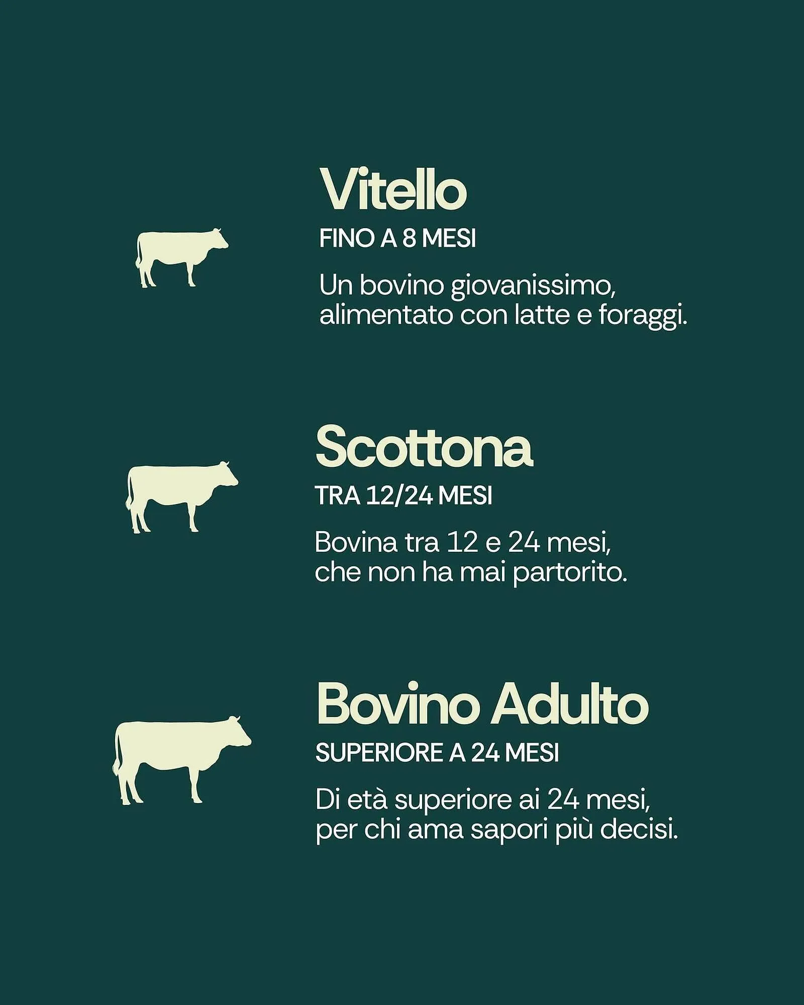 Volantino Centro Carne da 7 maggio a 6 giugno di 2026 - Pagina del volantino 6