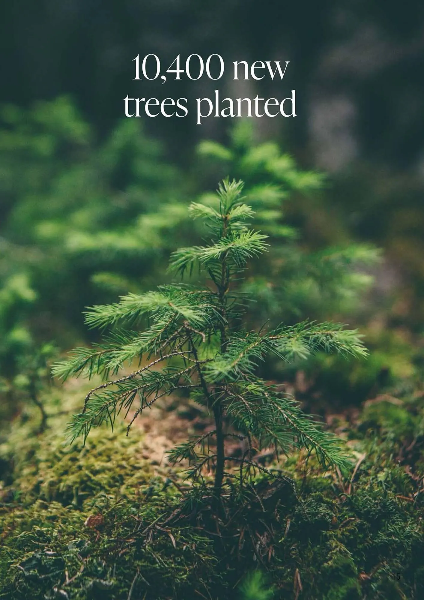 Volantino Porcelanosa da 18 febbraio a 31 dicembre di 2025 - Pagina del volantino 15