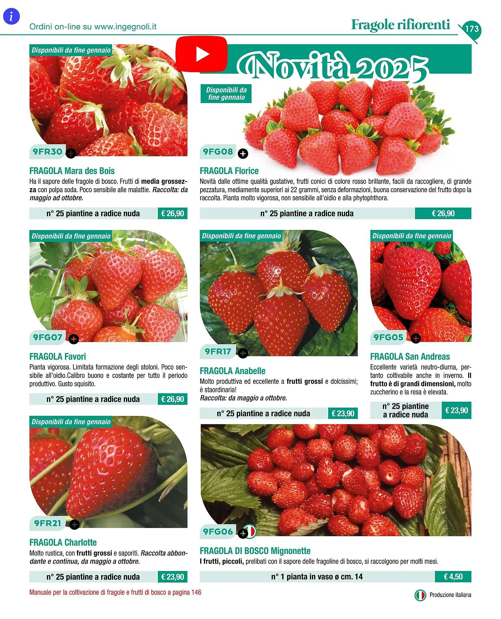 Volantino Ingegnoli da 4 novembre a 31 dicembre di 2025 - Pagina del volantino 175
