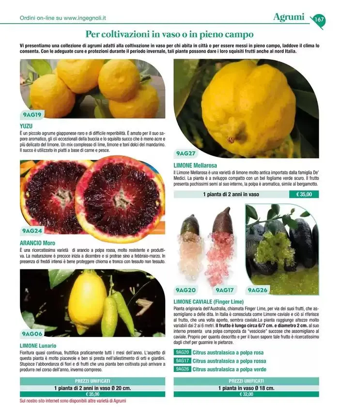 Catalogo guida 2025 da 20 gennaio a 31 dicembre di 2025 - Pagina del volantino 169