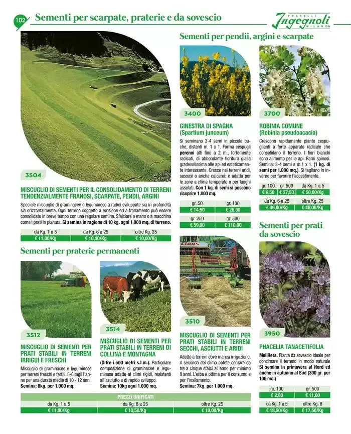 Catalogo guida 2025 da 20 gennaio a 31 dicembre di 2025 - Pagina del volantino 104