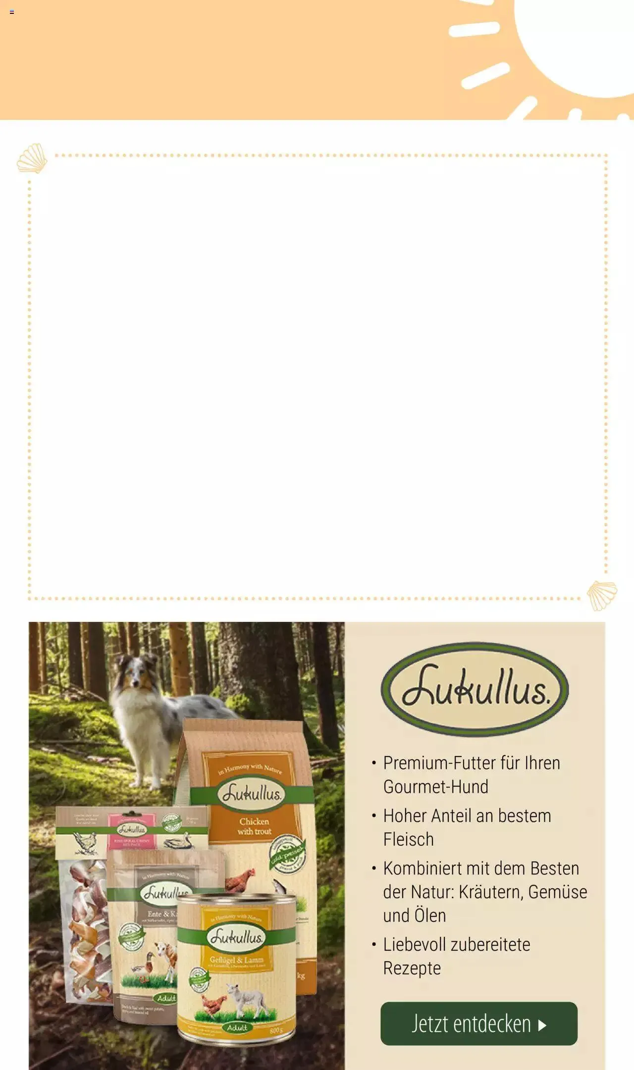 Volantino Zooplus da 1 luglio a 31 agosto di 2023 - Pagina del volantino 15