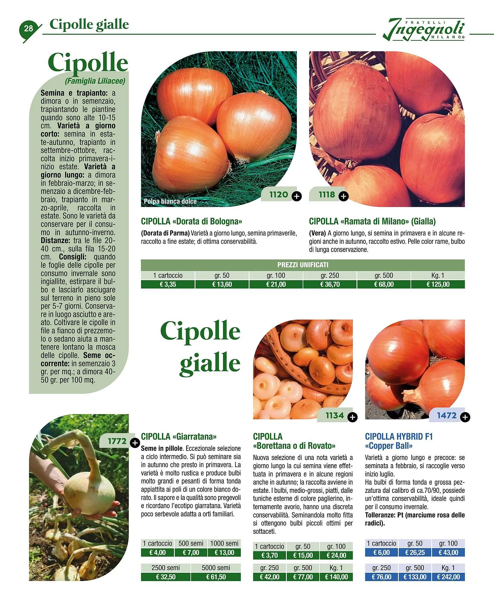 Volantino Ingegnoli da 4 novembre a 31 dicembre di 2025 - Pagina del volantino 30