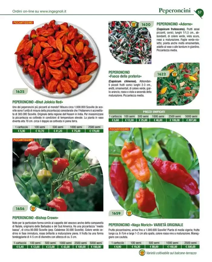 Novita 2025 da 4 novembre a 31 dicembre di 2025 - Pagina del volantino 56