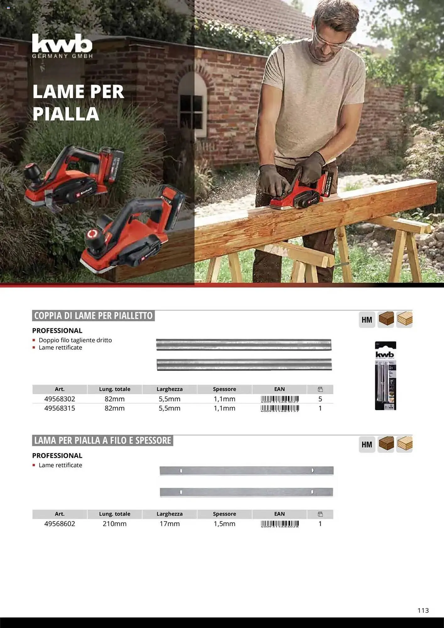 Volantino Einhell da 10 ottobre a 31 dicembre di 2025 - Pagina del volantino 115