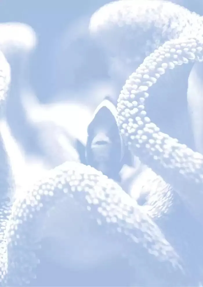 Ferplast da 13 dicembre a 31 dicembre di 2026 - Pagina del volantino 188