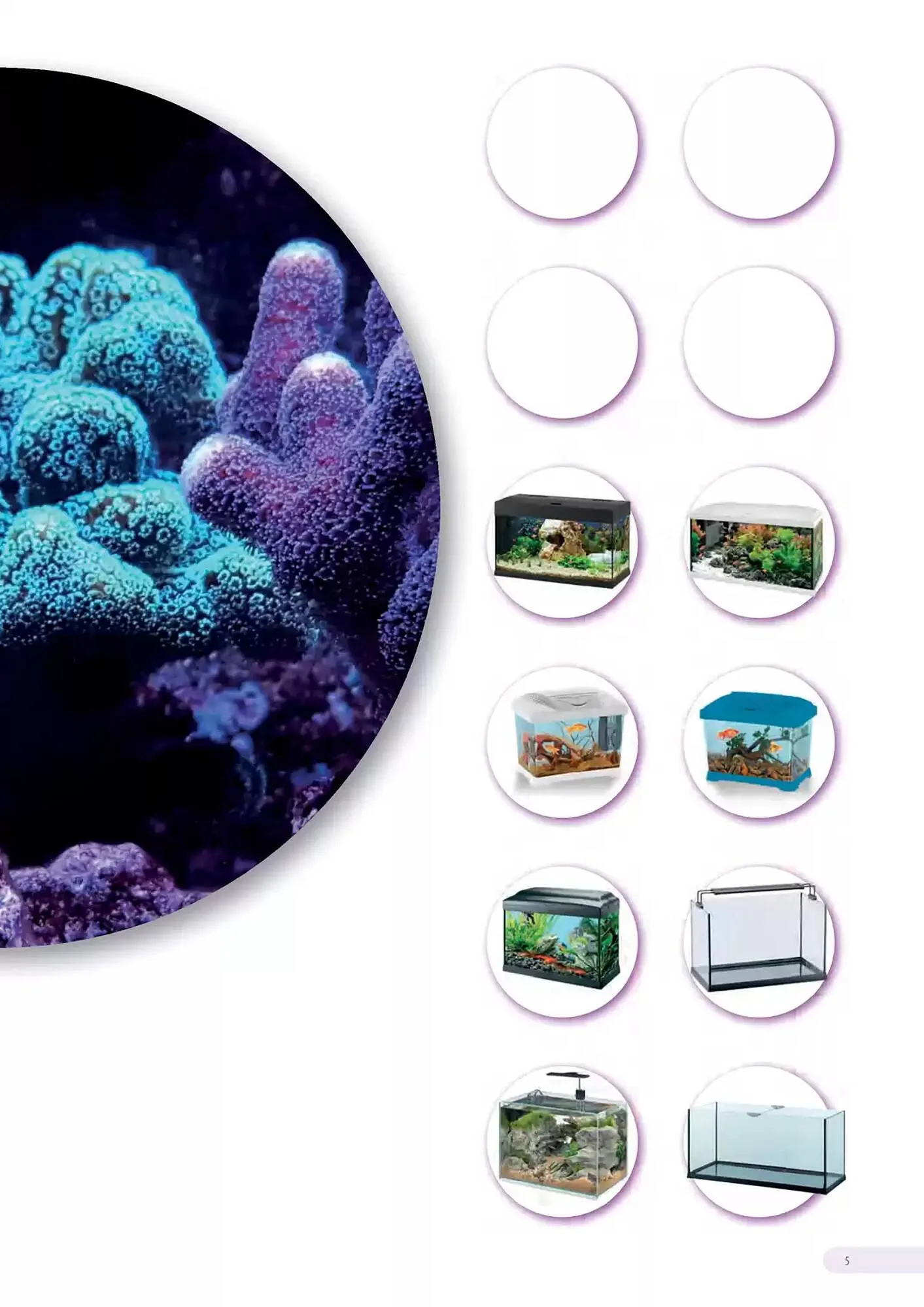 Volantino Ferplast da 13 dicembre a 31 dicembre di 2026 - Pagina del volantino 6