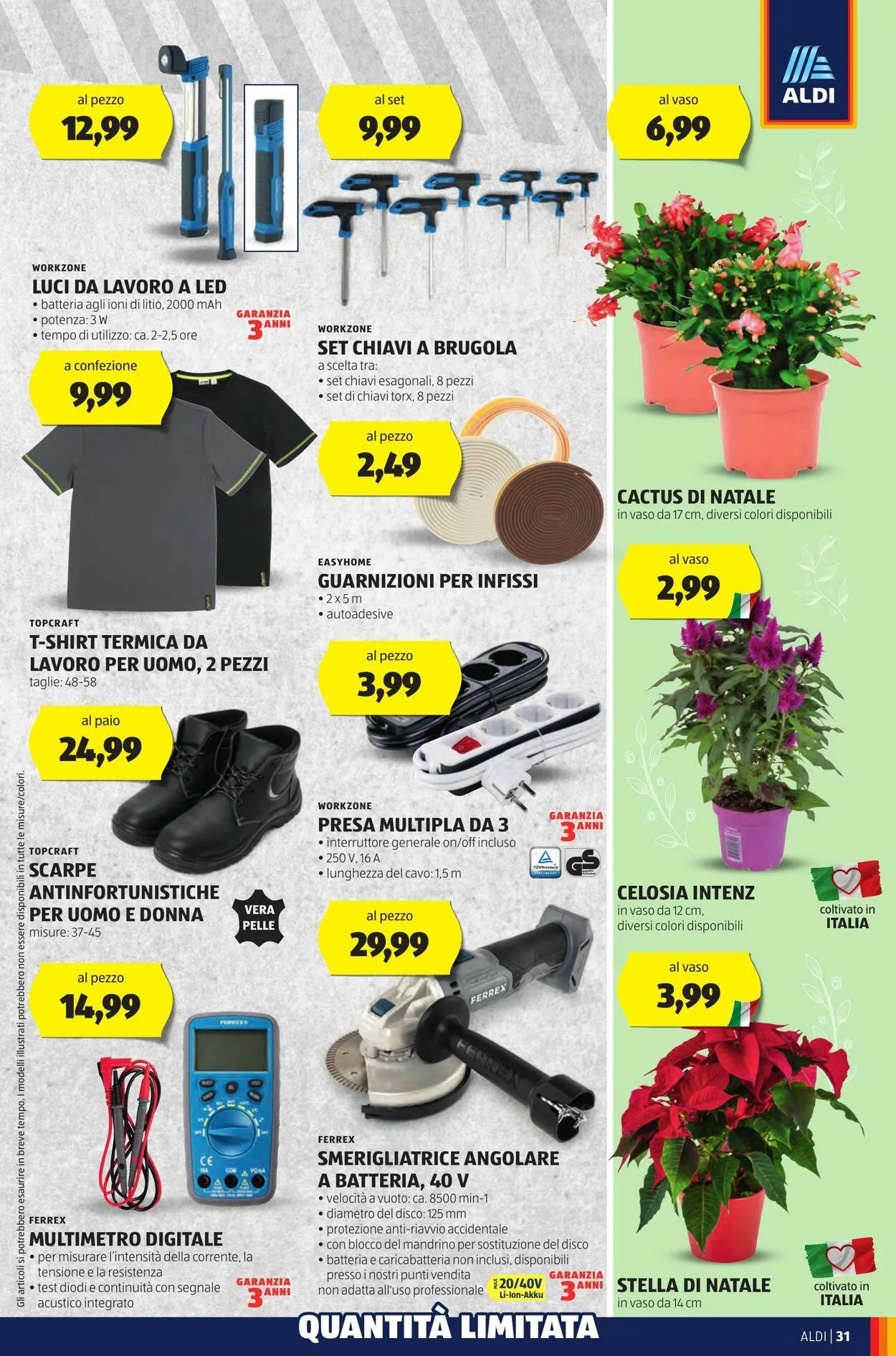 Aldi Volantino attuale da 4 novembre a 10 novembre di 2024 - Pagina del volantino 31