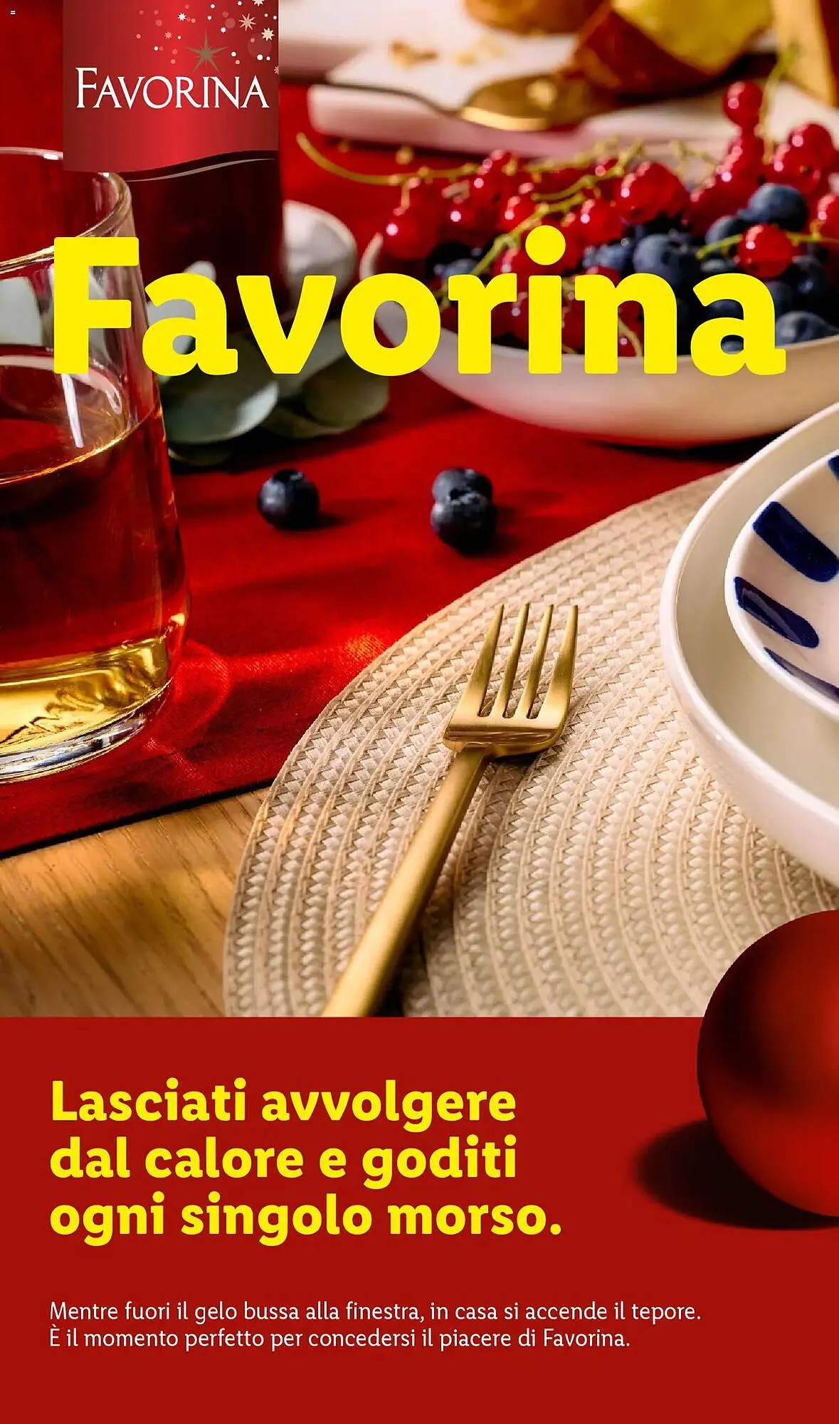 Volantino Lidl da 24 ottobre a 31 dicembre di 2025 - Pagina del volantino 44