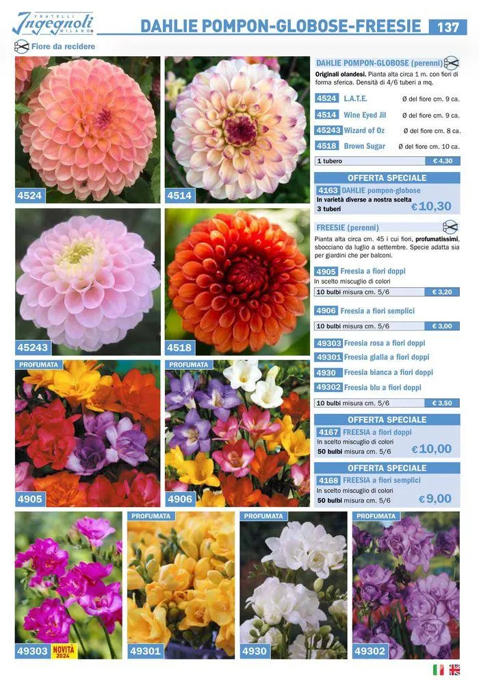 Bulbi Tuberi Rizomi da fiore da 25 marzo a 31 dicembre di 2024 - Pagina del volantino 11