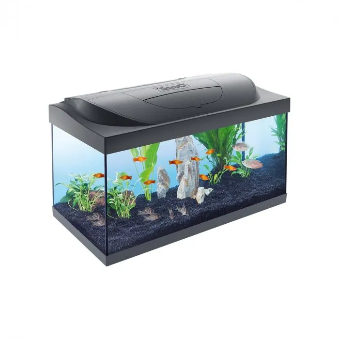 Acquario starter line 54 l