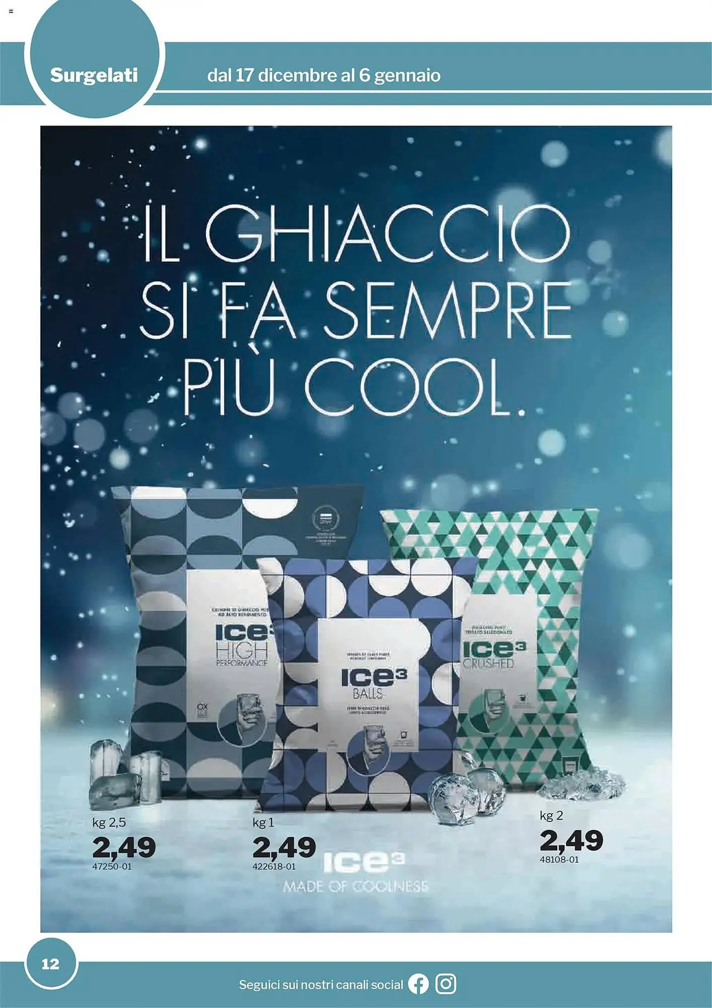 Volantino GrosMarket da 17 dicembre a 6 gennaio di 2026 - Pagina del volantino 12