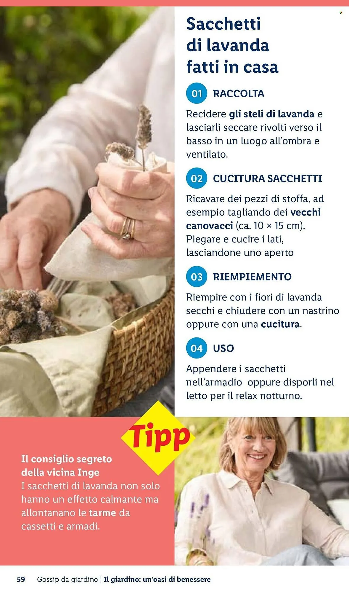 Volantino Lidl da 22 aprile a 30 aprile di 2026 - Pagina del volantino 59