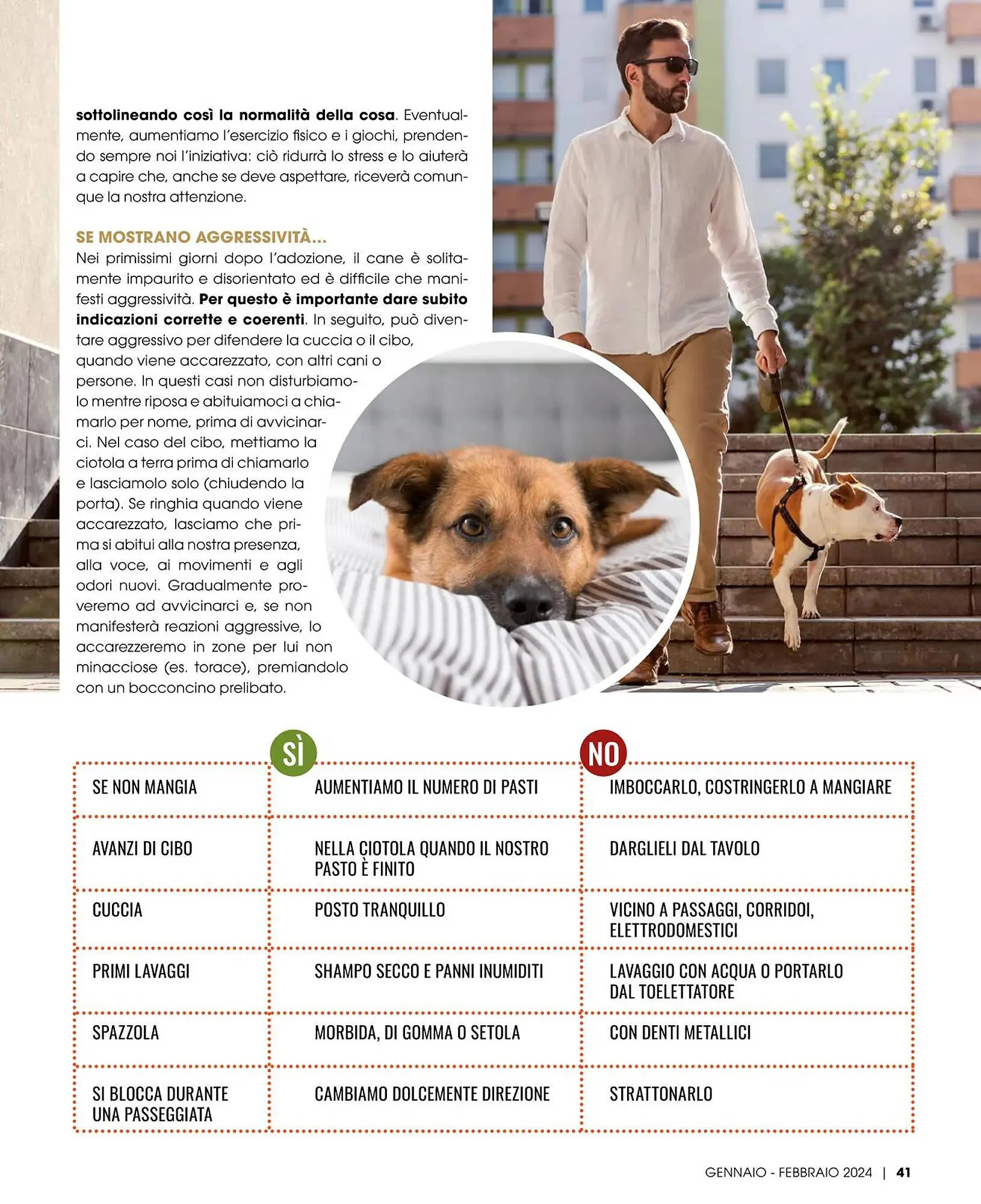 Volantino Italmark da 9 febbraio a 31 dicembre di 2024 - Pagina del volantino 41