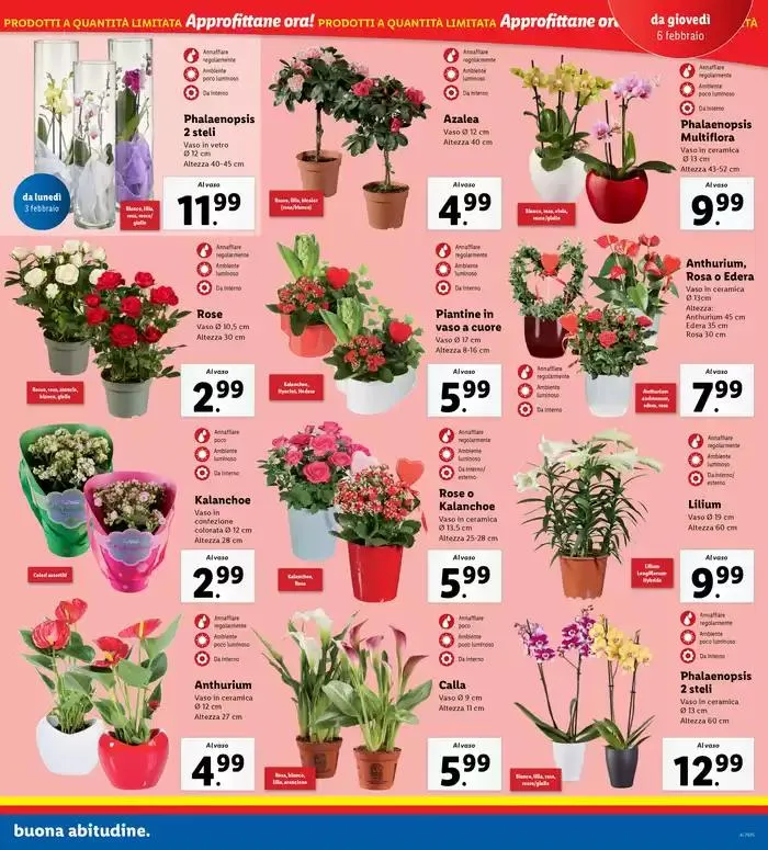 Super offerte da 3 febbraio a 9 febbraio di 2025 - Pagina del volantino 25