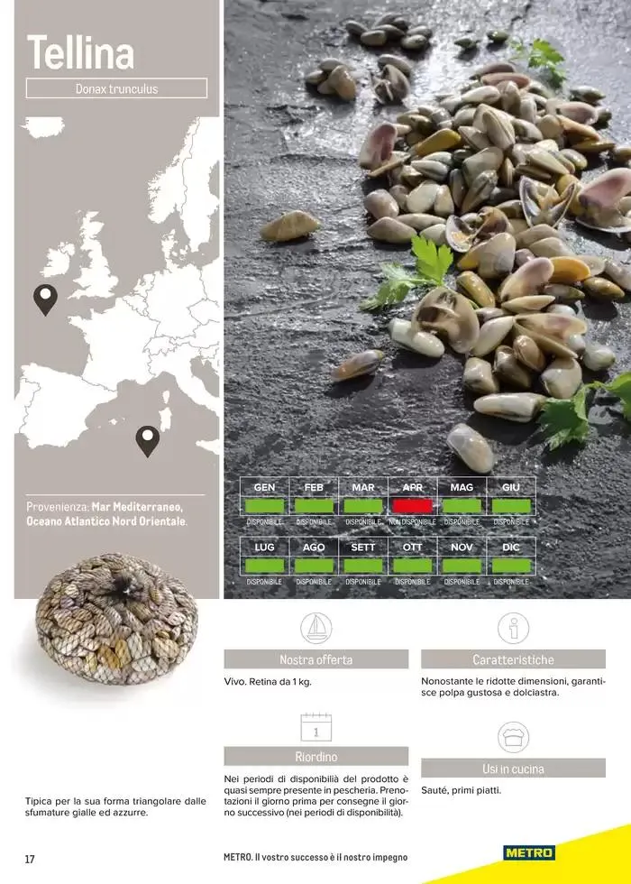 Catalogo Frutti di mare da 2 gennaio a 31 luglio di 2025 - Pagina del volantino 17