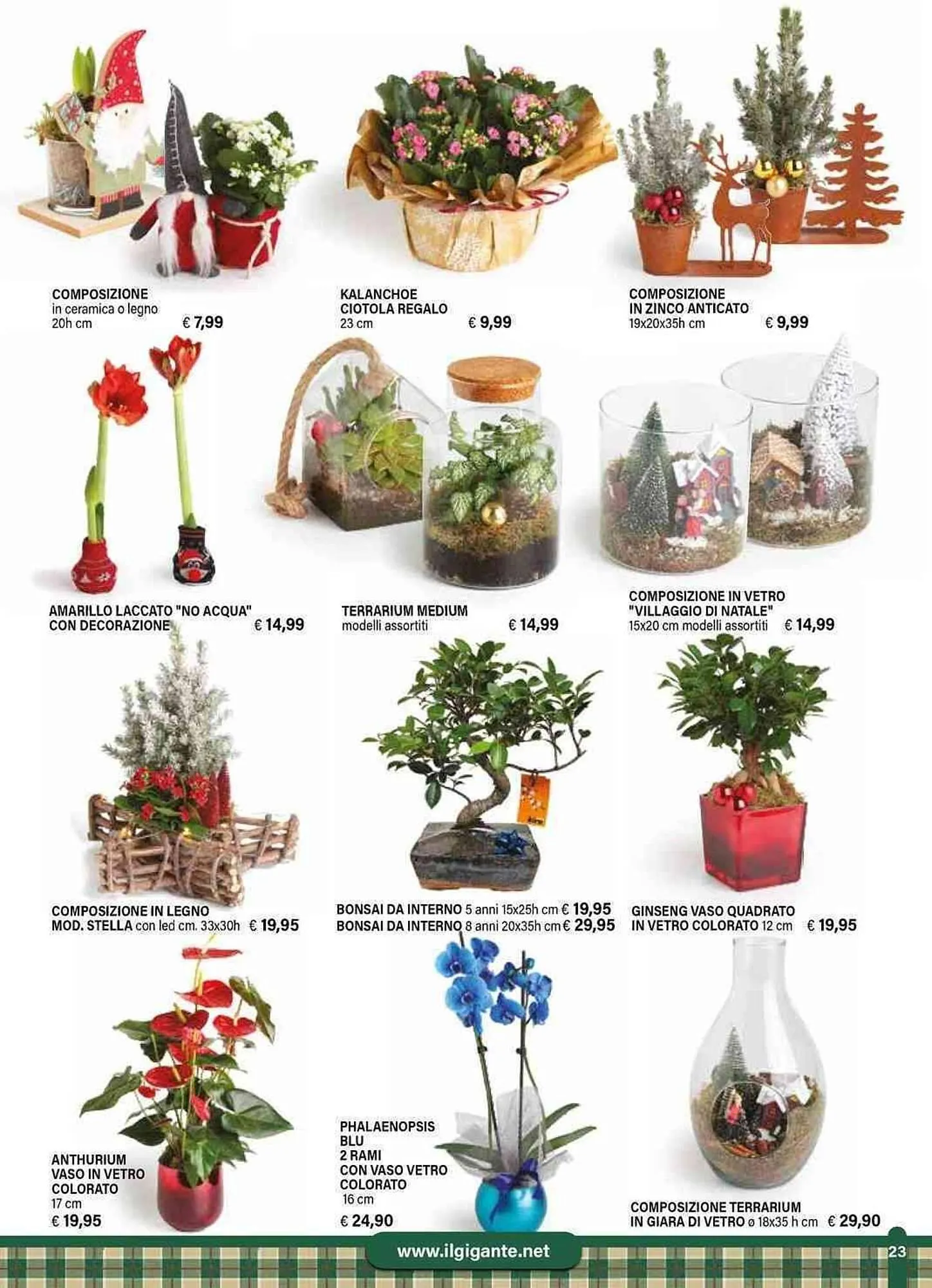 Volantino Il Gigante da 24 novembre a 31 dicembre di 2025 - Pagina del volantino 23