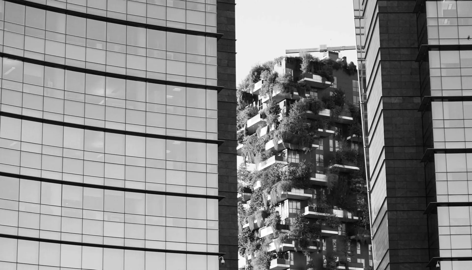 Volantino Fazzini da 23 gennaio a 29 febbraio di 2024 - Pagina del volantino 25