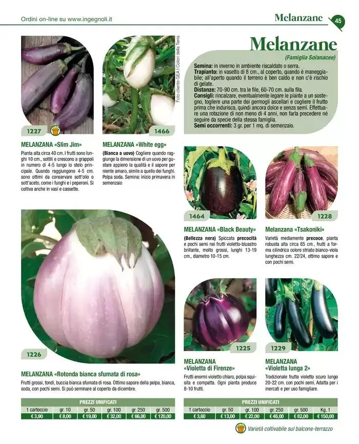 Novita 2025 da 4 novembre a 31 dicembre di 2025 - Pagina del volantino 44