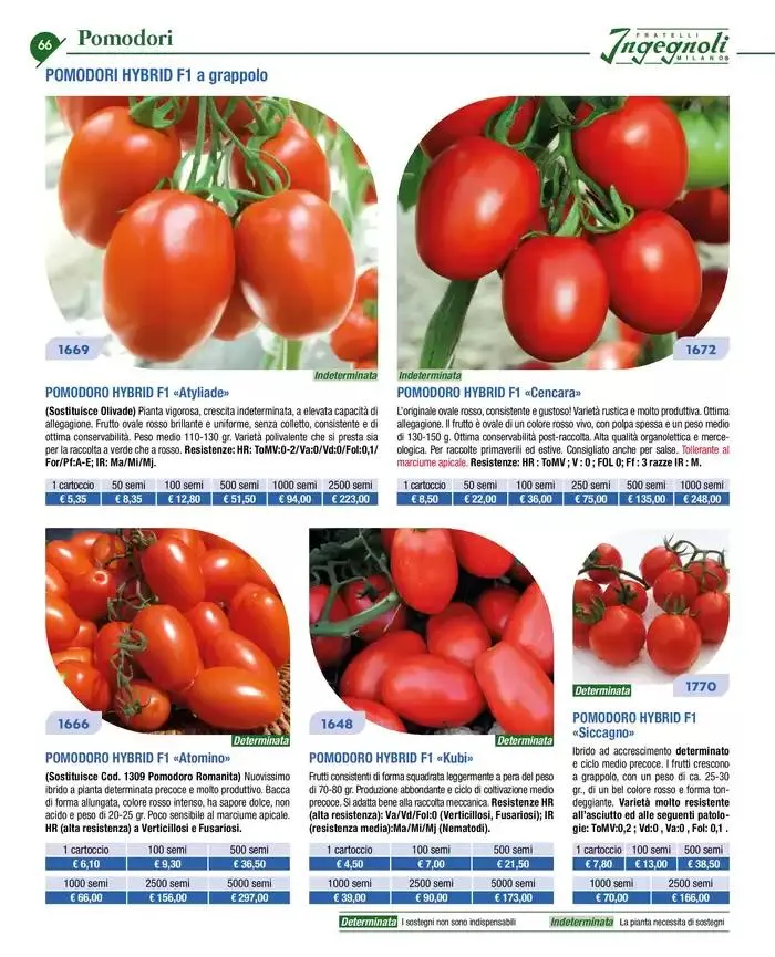 Novita 2025 da 4 novembre a 31 dicembre di 2025 - Pagina del volantino 65