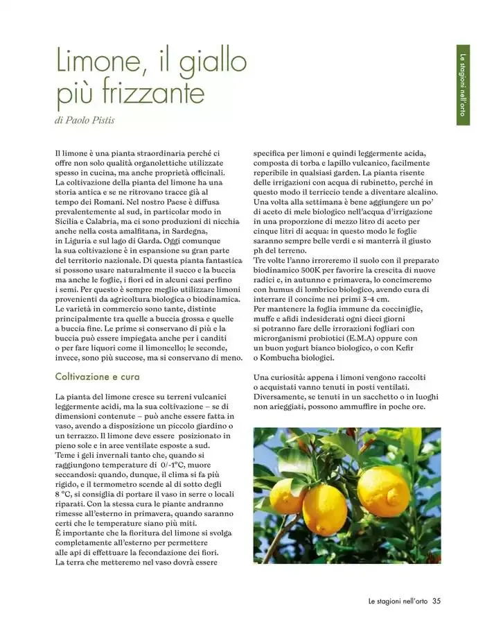 Gennaio - Febbraio 2025 da 8 gennaio a 28 febbraio di 2025 - Pagina del volantino 28
