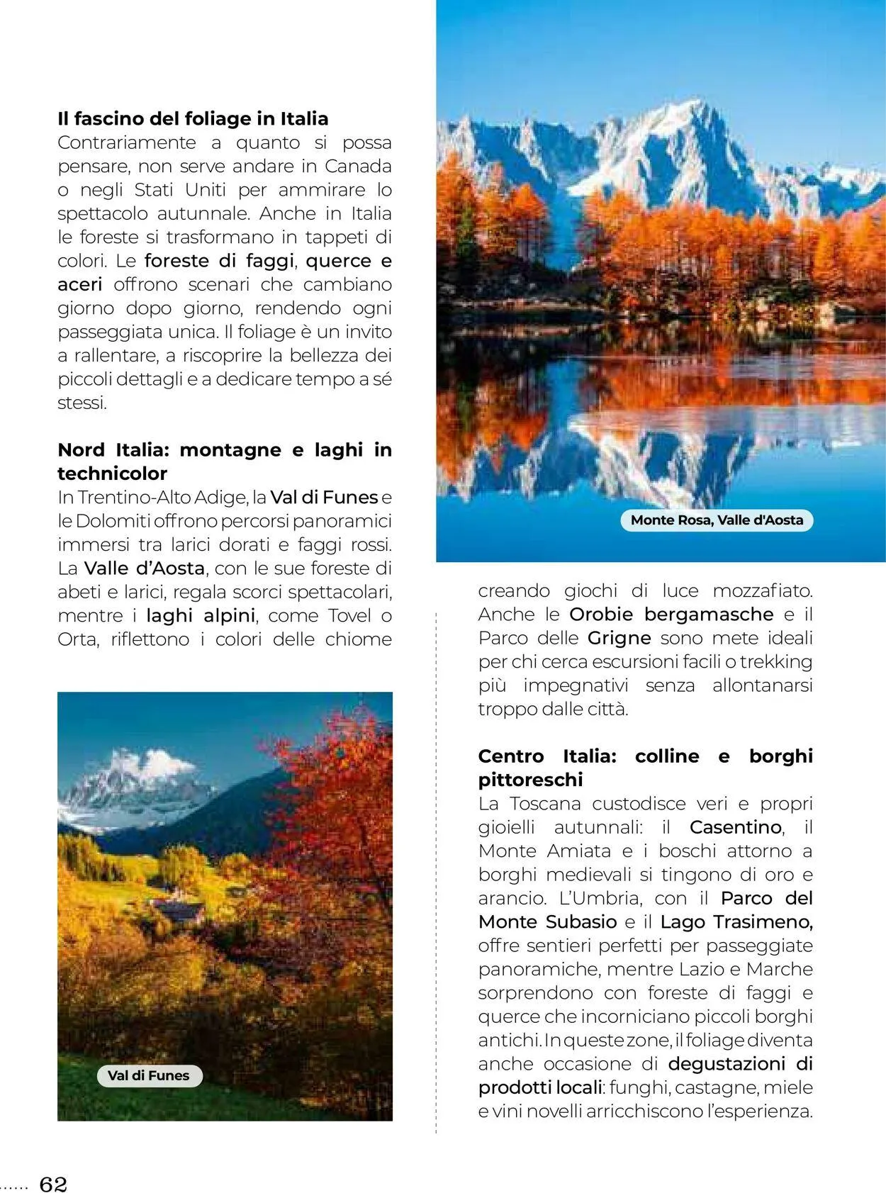 Gulliver Volantino attuale da 1 ottobre a 31 ottobre di 2025 - Pagina del volantino 62