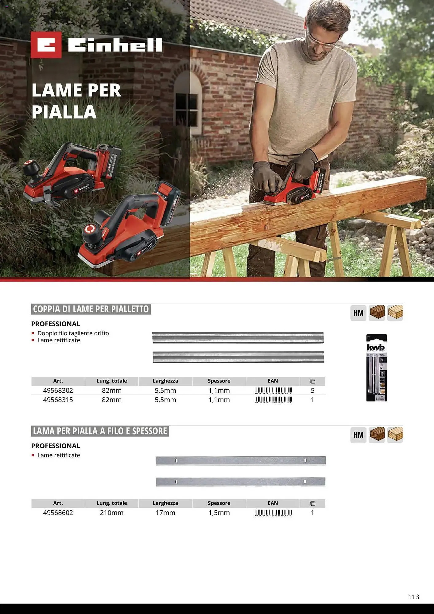 Volantino Einhell da 17 marzo a 31 dicembre di 2026 - Pagina del volantino 115