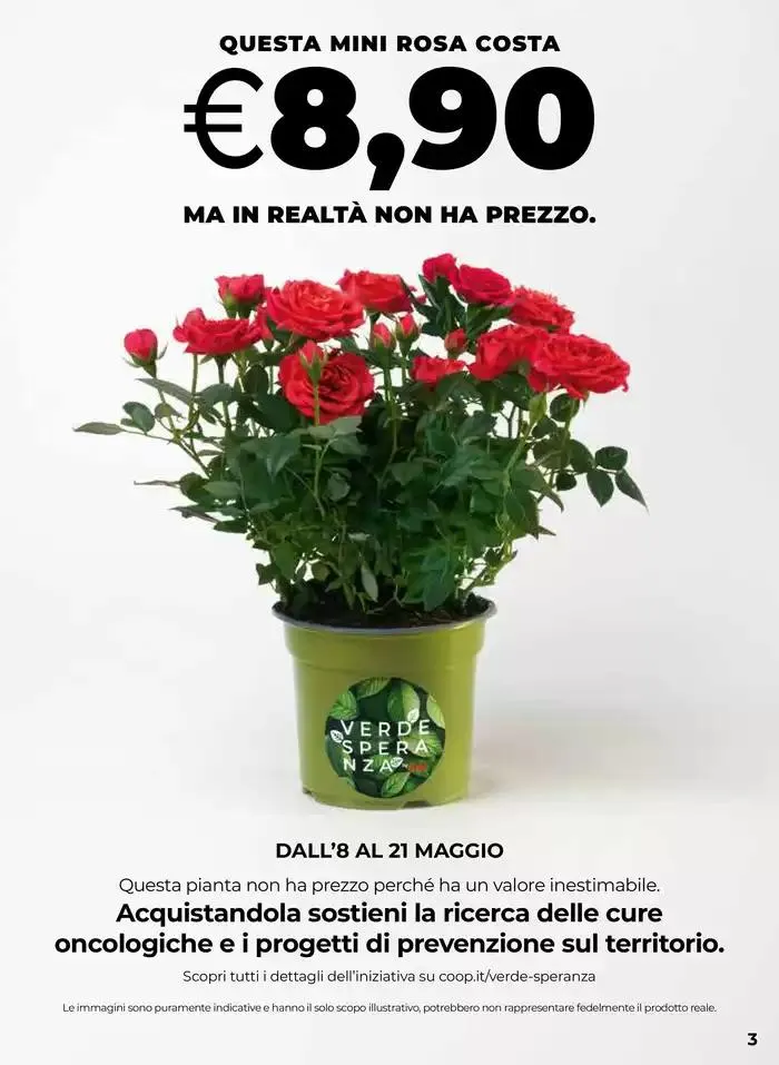 Dal 5 al 14 maggio 2025 da 5 maggio a 14 maggio di 2025 - Pagina del volantino 3