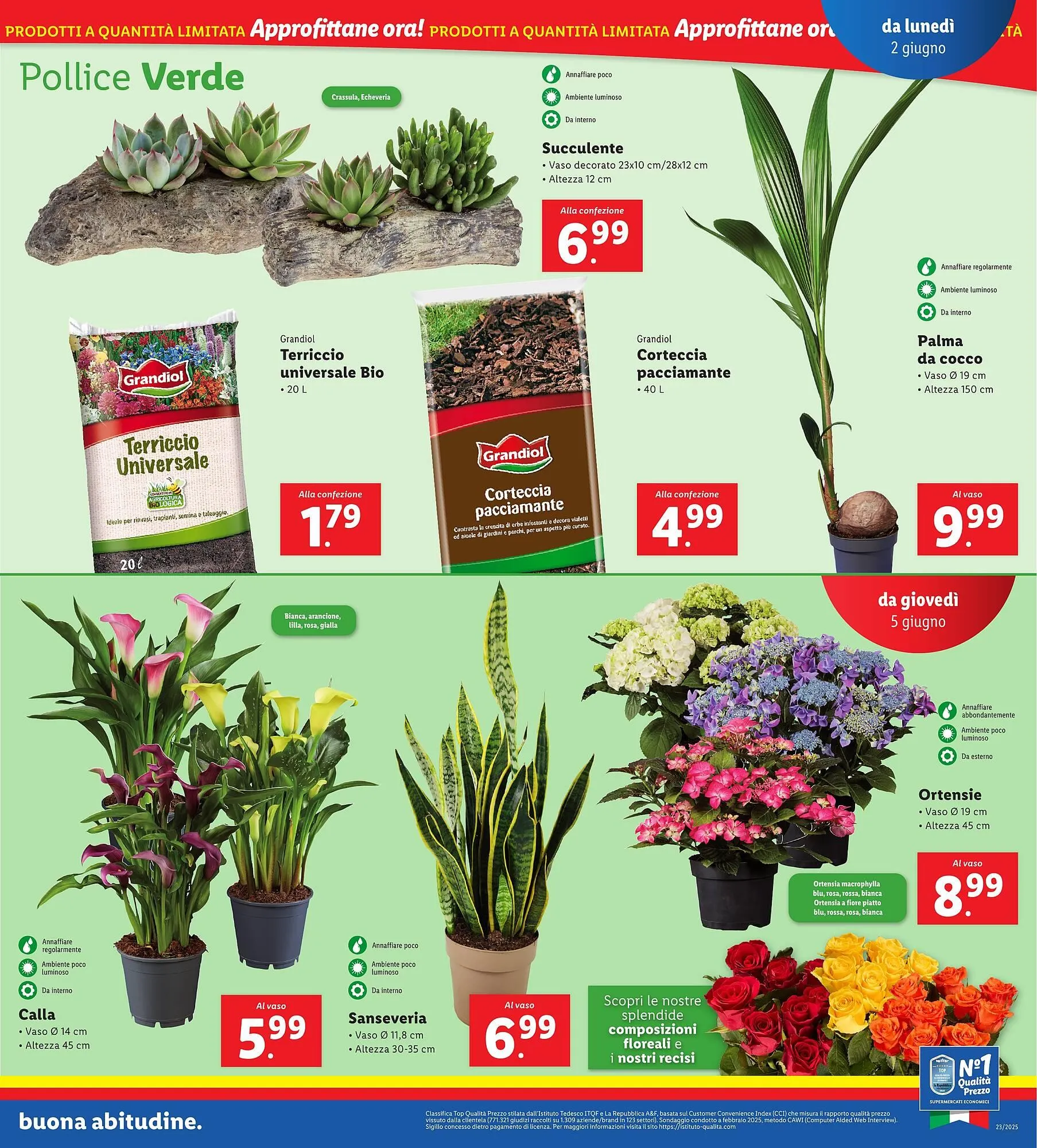 Volantino Lidl da 2 giugno a 8 giugno di 2025 - Pagina del volantino 27