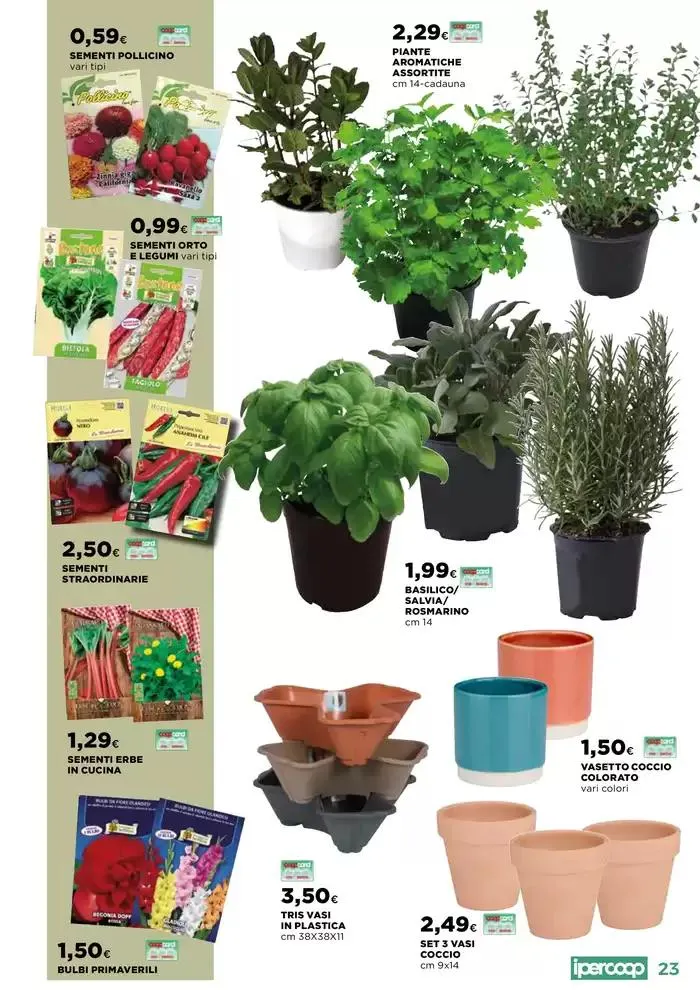 Catalogo Primavera da 10 aprile a 2 giugno di 2025 - Pagina del volantino 23