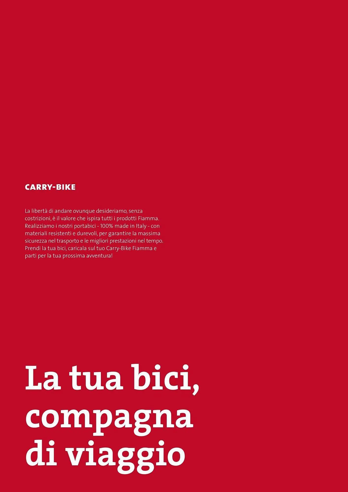 Volantino Fiamma da 1 febbraio a 29 febbraio di 2024 - Pagina del volantino 37