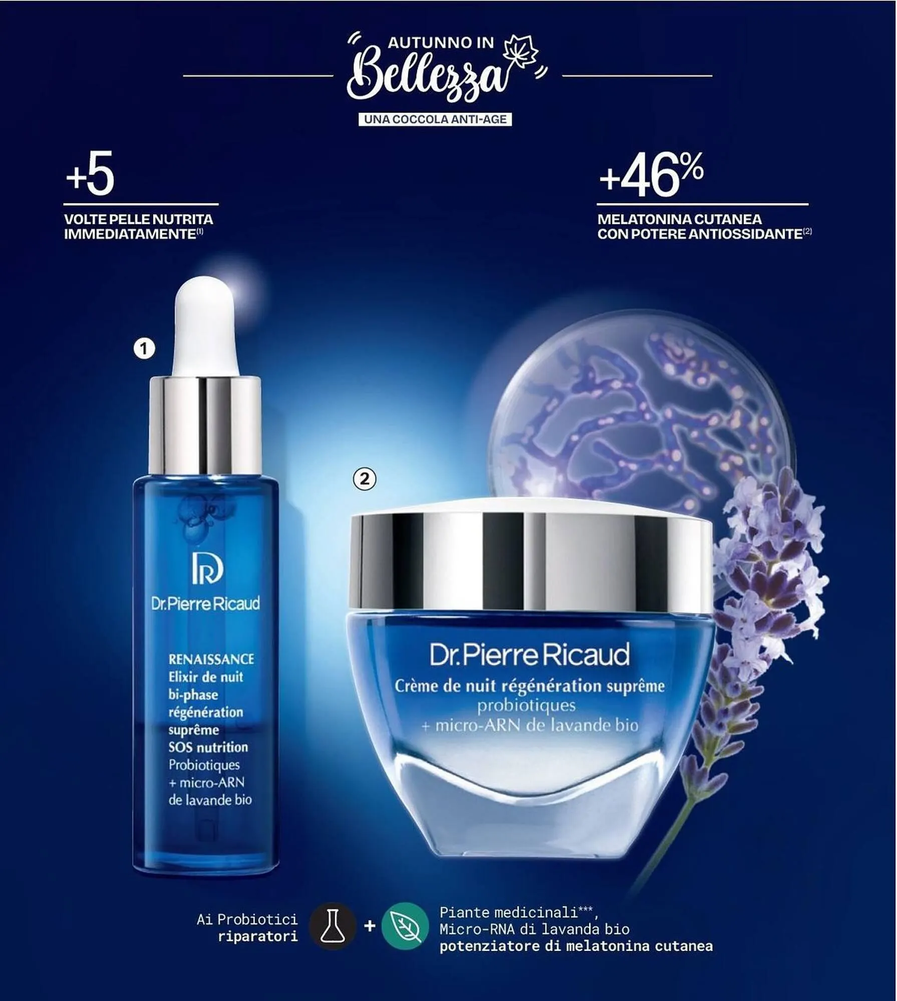 Catalogo Stanhome da 21 ottobre a 7 novembre di 2025 - Pagina del volantino 51