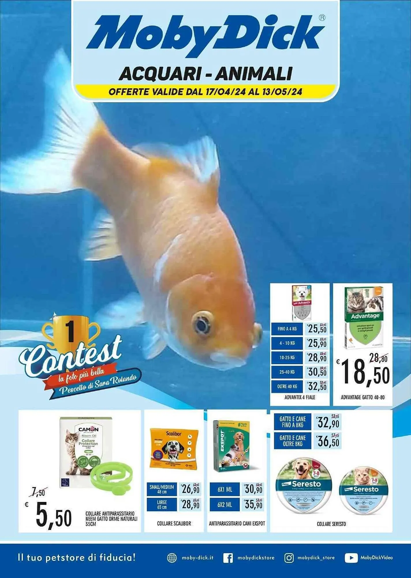 Volantino Moby Dick - 1