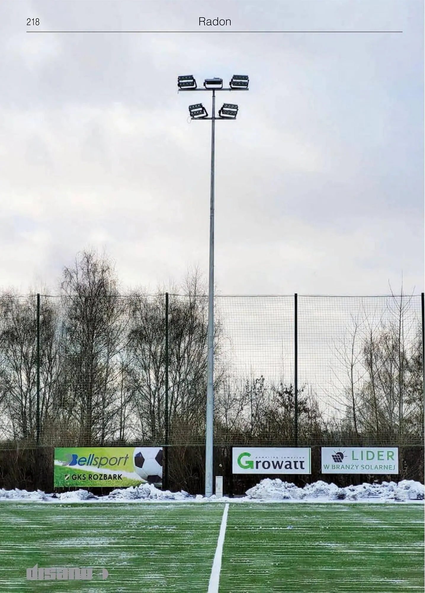 Volantino Disano da 8 marzo a 26 aprile di 2025 - Pagina del volantino 246