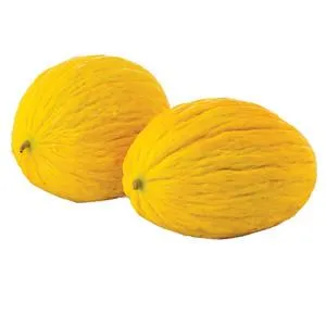 Melone Gialletto