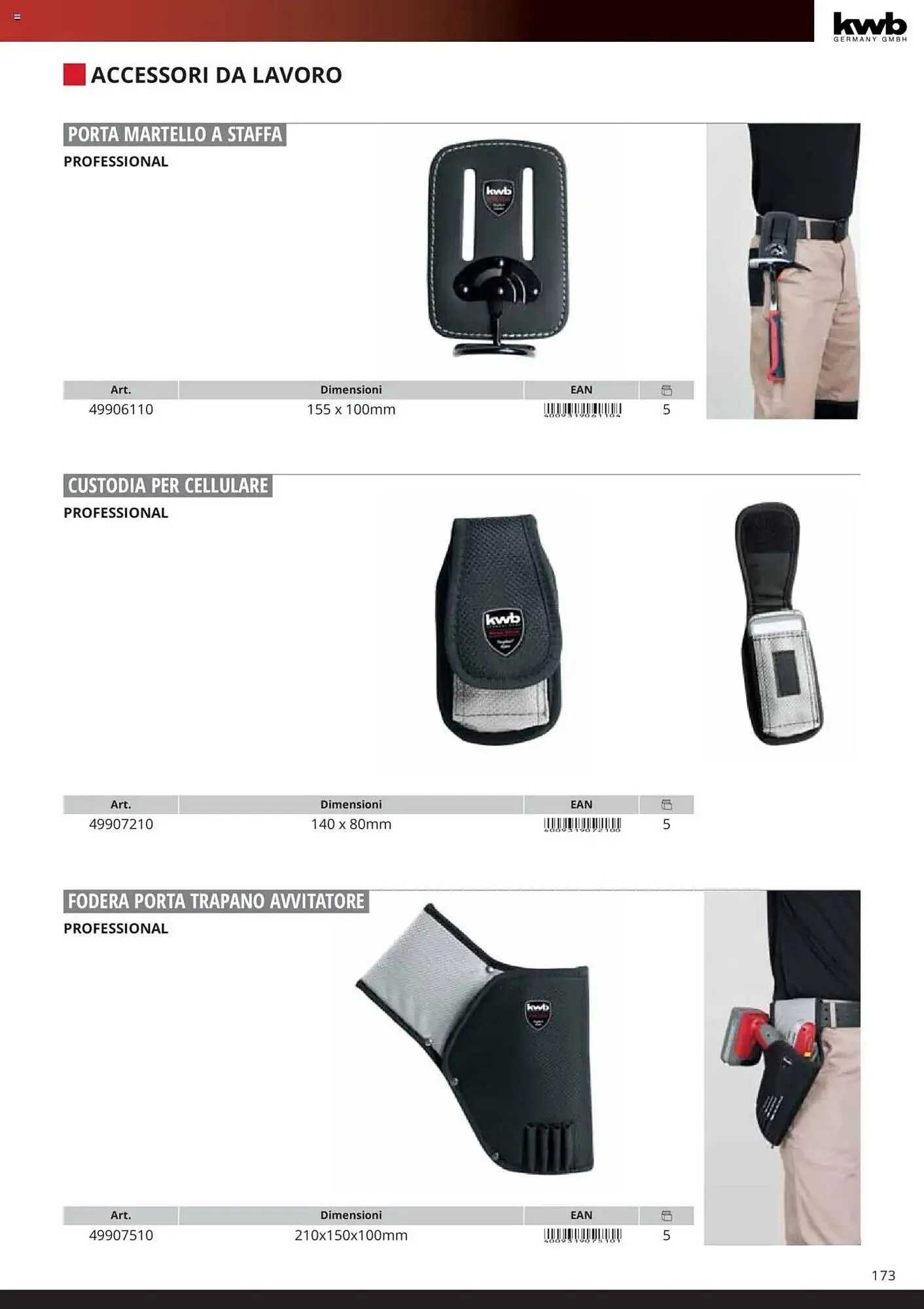 Volantino Einhell da 6 febbraio a 6 febbraio di 2026 - Pagina del volantino 175