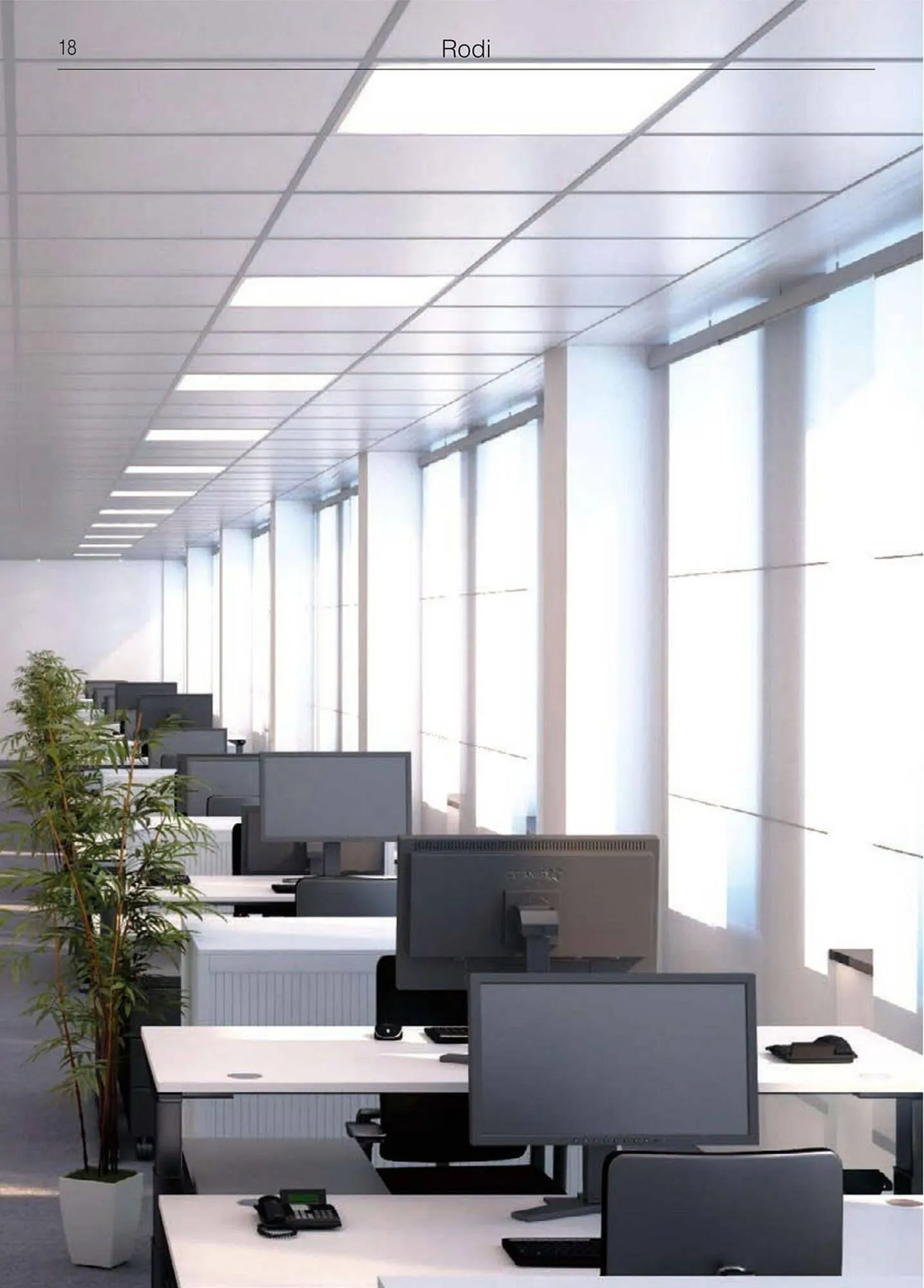 Volantino Disano da 8 marzo a 26 aprile di 2025 - Pagina del volantino 46