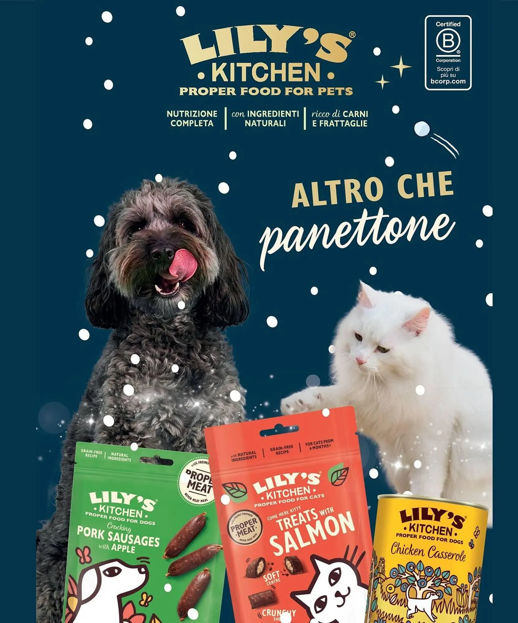 Volantino Arcaplanet da 15 dicembre a 21 dicembre di 2025 - Pagina del volantino 6