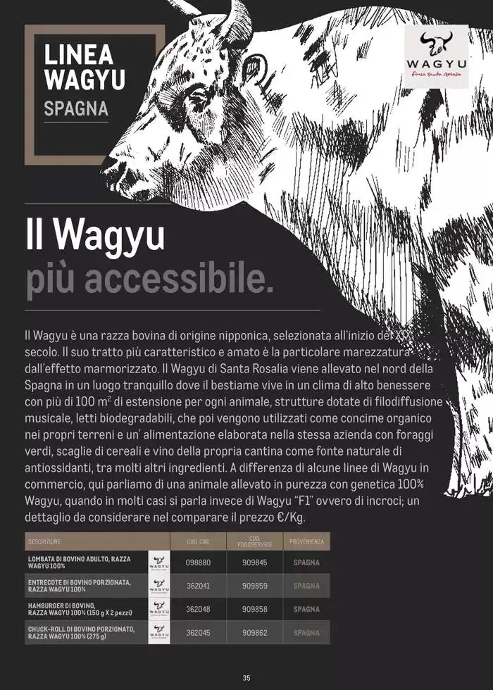 CATALOGO CARNE 2024 da 2 gennaio a 31 agosto di 2025 - Pagina del volantino 35