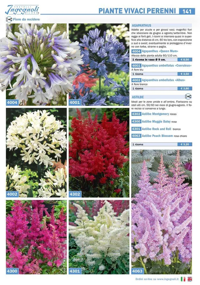 Bulbi Tuberi Rizomi da fiore da 25 marzo a 31 dicembre di 2024 - Pagina del volantino 15