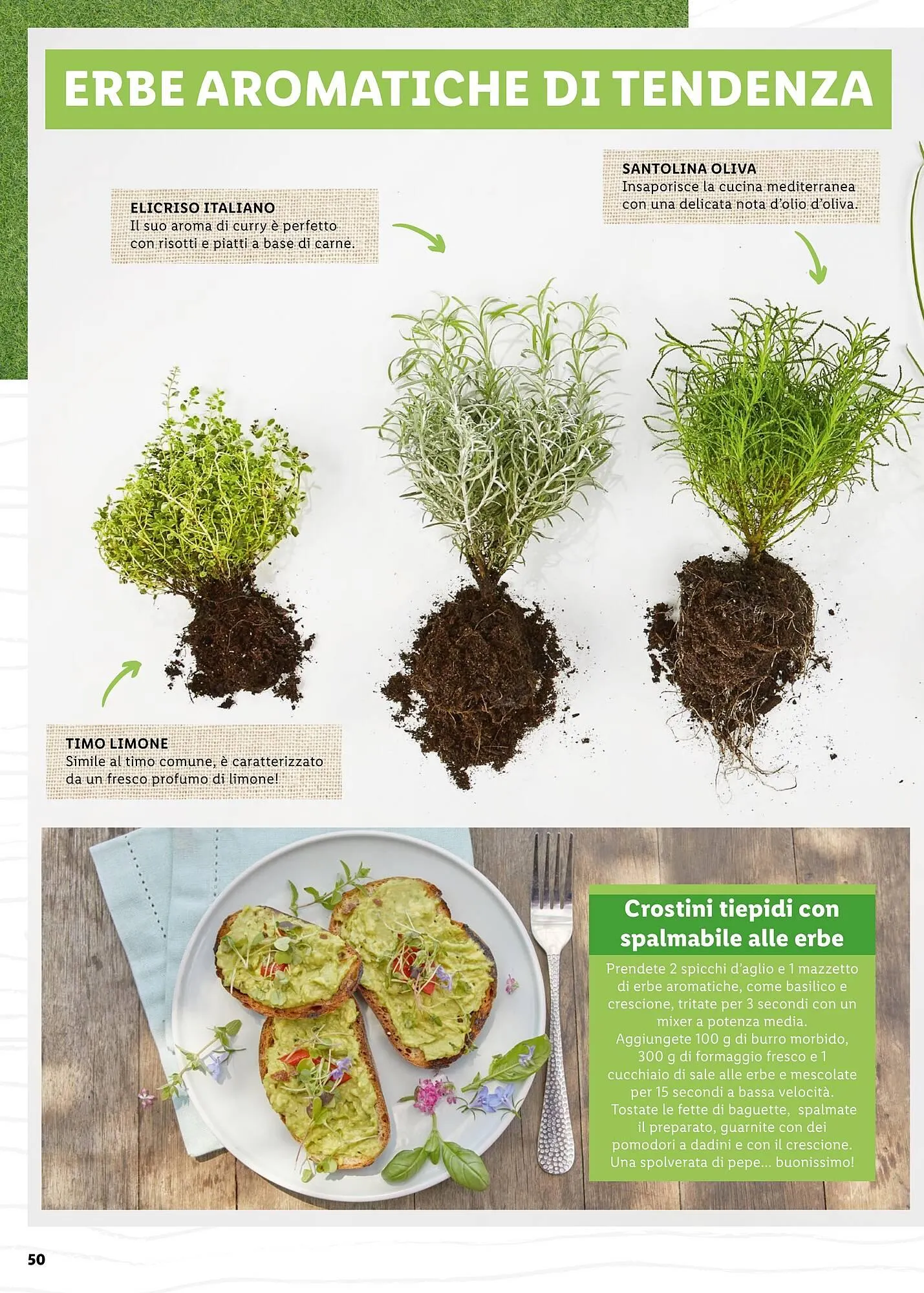 Volantino Lidl da 4 aprile a 31 maggio di 2025 - Pagina del volantino 50