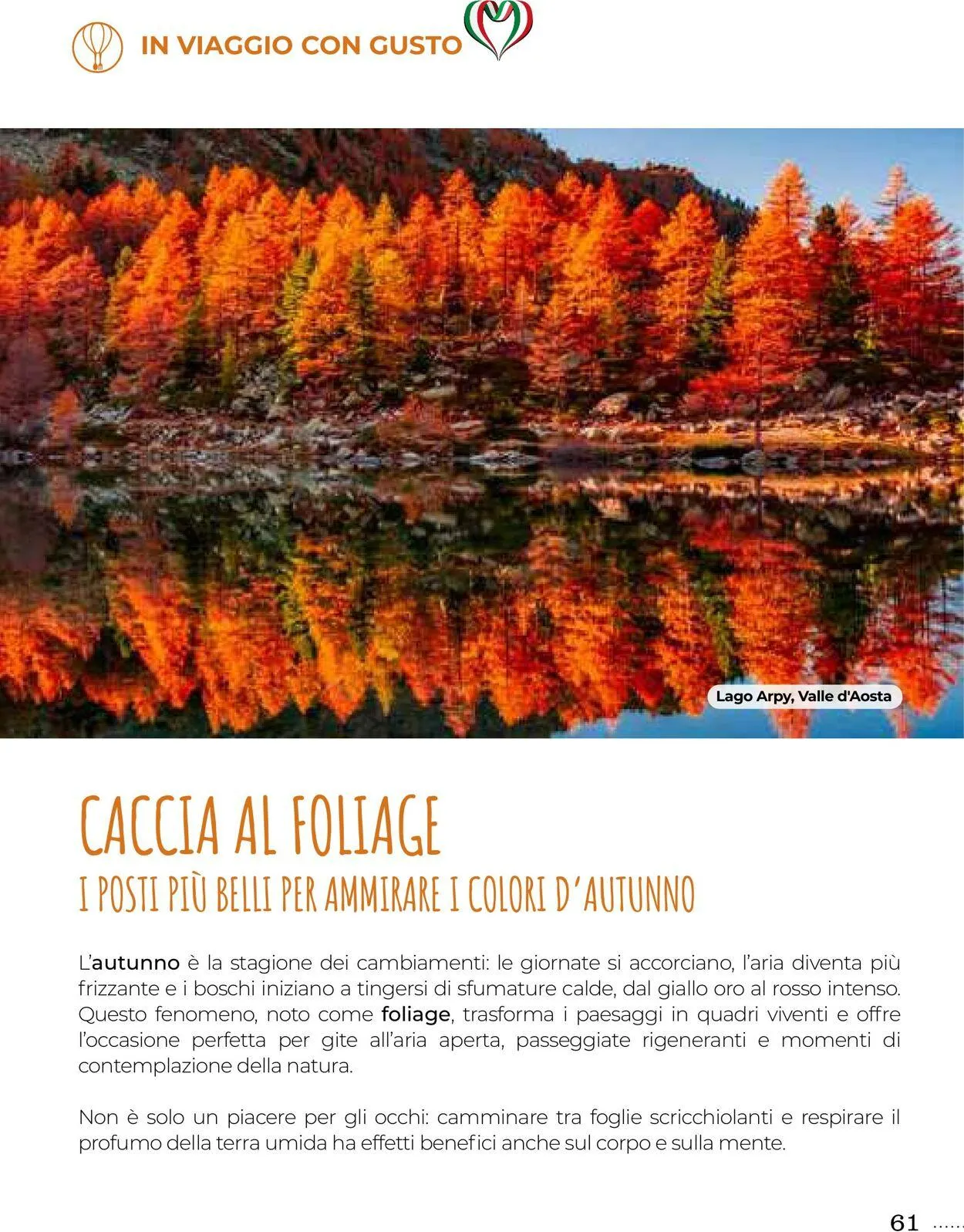 Gulliver Volantino attuale da 1 ottobre a 31 ottobre di 2025 - Pagina del volantino 61