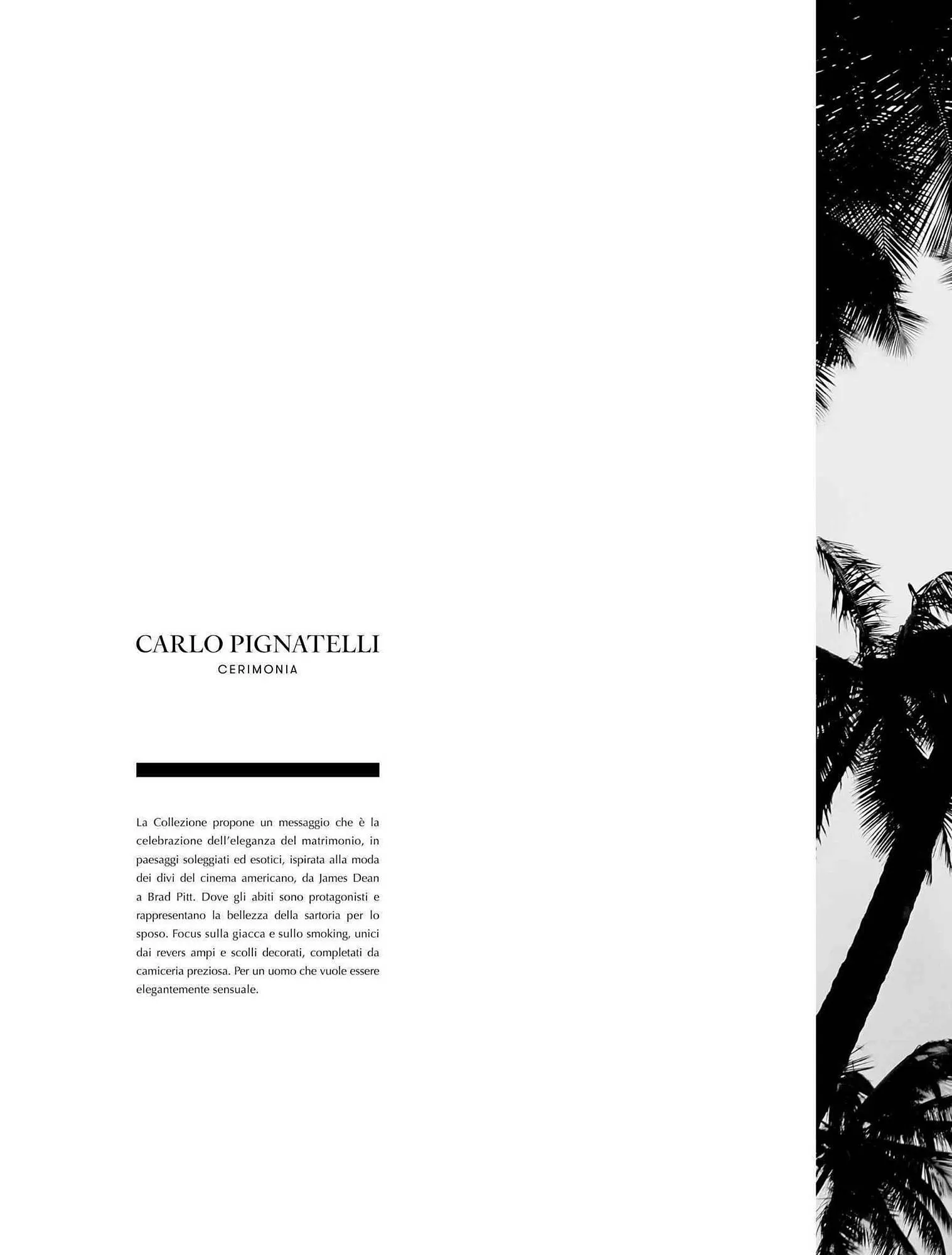 Volantino Carlo Pignatelli da 1 febbraio a 15 febbraio di 2024 - Pagina del volantino 12