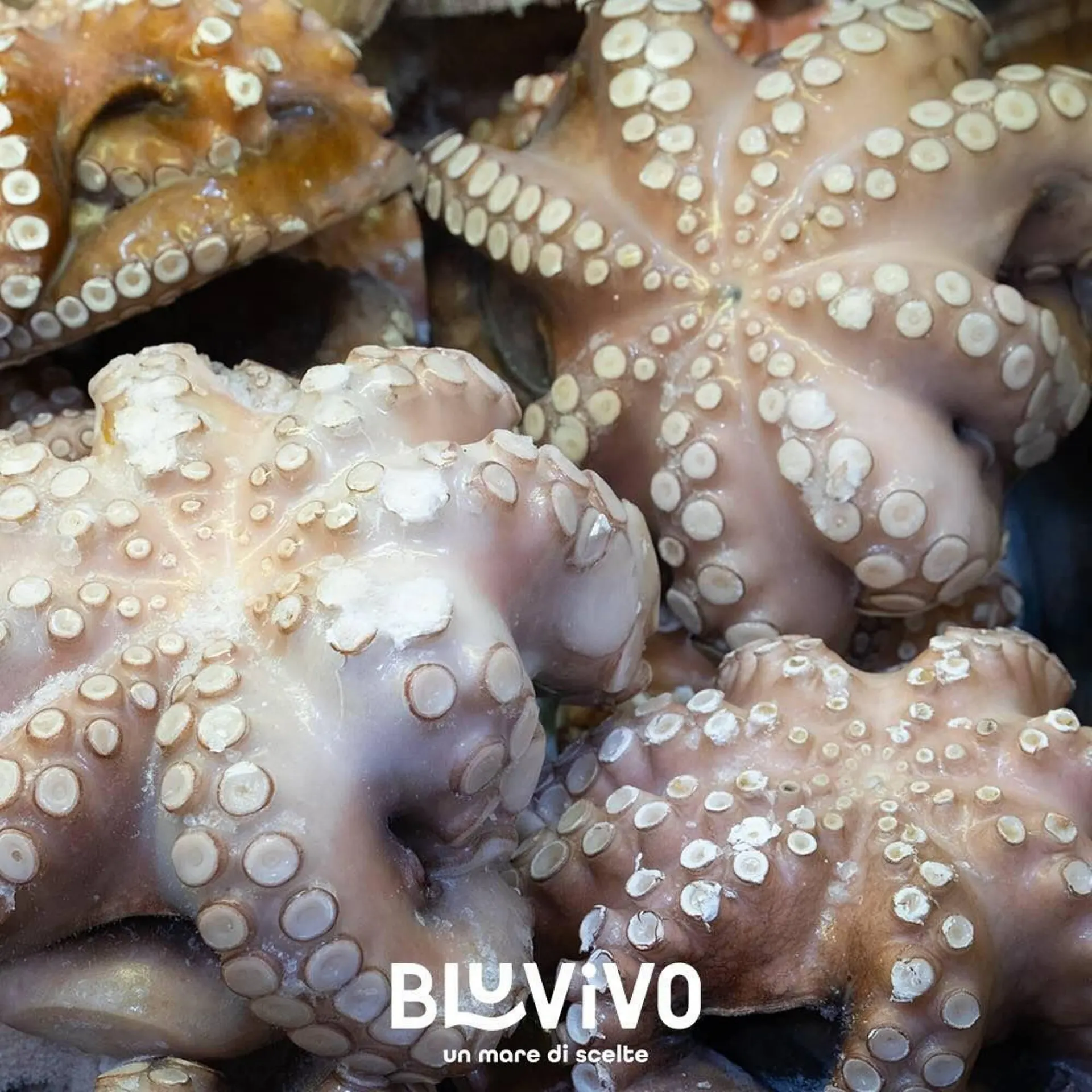 Volantino Oceano Surgelati da 8 gennaio a 19 gennaio di 2025 - Pagina del volantino 4