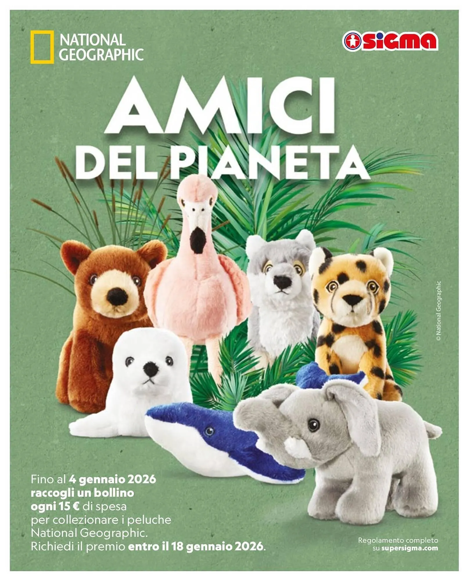 Volantino Ok Sigma da 2 gennaio a 21 gennaio di 2026 - Pagina del volantino 11