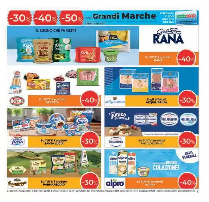 Grandi marche da 8 maggio a 21 maggio di 2025 - Pagina del volantino 3