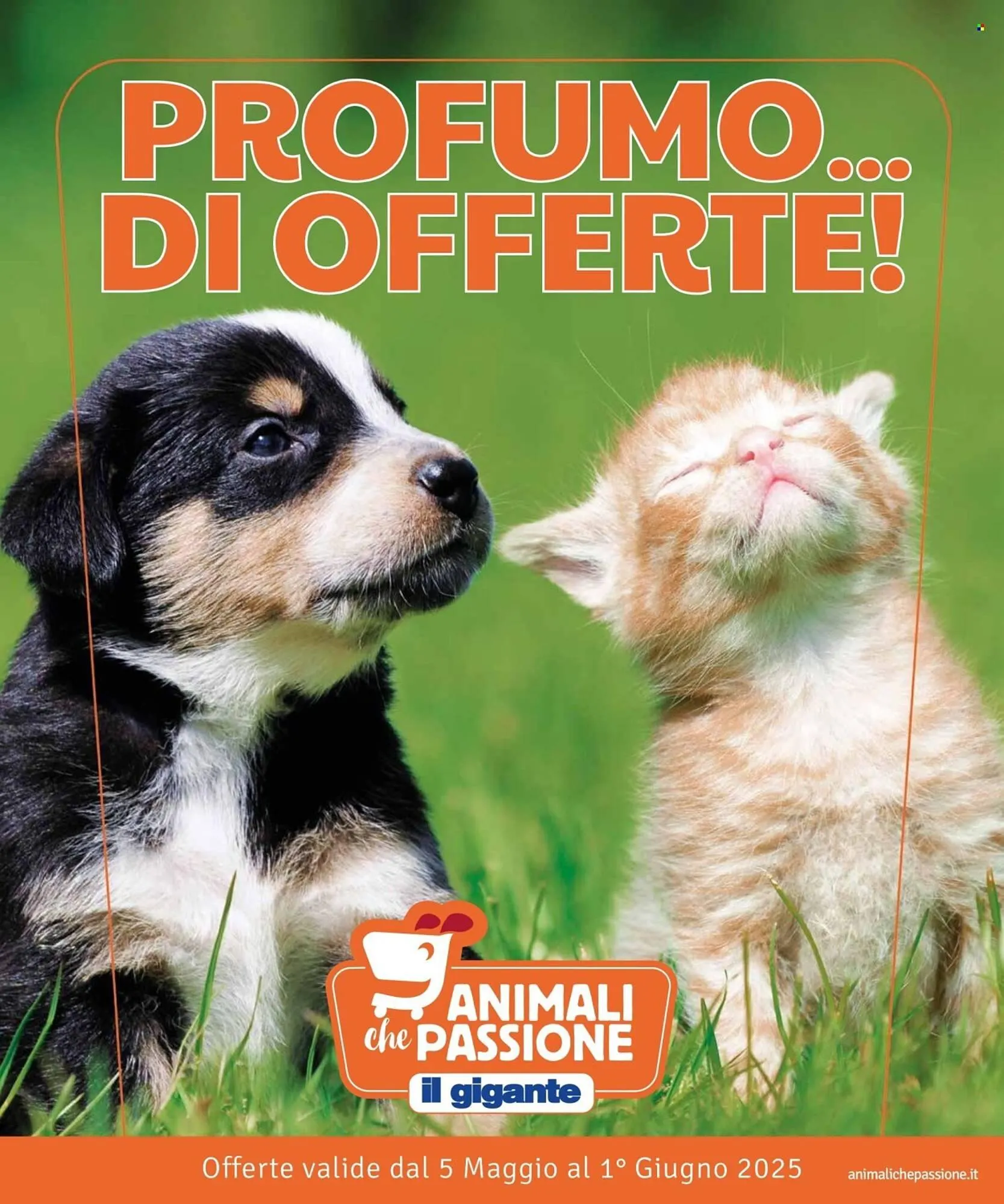 Volantino Il Gigante da 5 maggio a 1 giugno di 2025 - Pagina del volantino 1